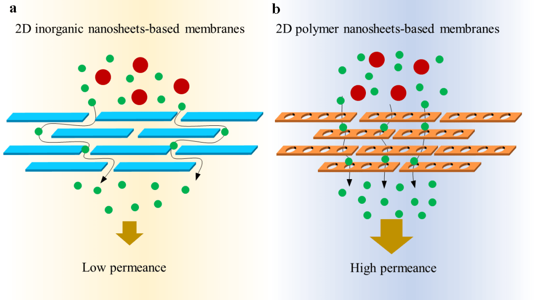 西湖大学徐宇曦团队advanced science综述:二维聚合物纳米片应用于膜